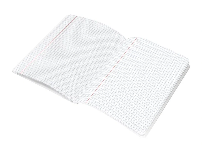 Liderpapel Libreta Escolar Scriptus 48 Hojas Din A5 Cuadro 6 mm Papel 90 gr Sin Margen