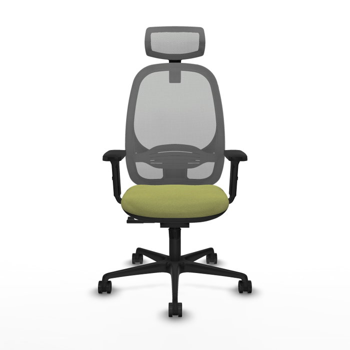 PIQUERAS Y CRESPO Silla de oficina Cilanco con mecanismo Sincro, Verde oliva y Gris PIQUERAS Y CRESPO Silla de oficina Cilanco con mecanismo Sincro, Verde oliva y Gris