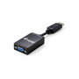 Equip Adaptador DisplayPort a VGA Negro