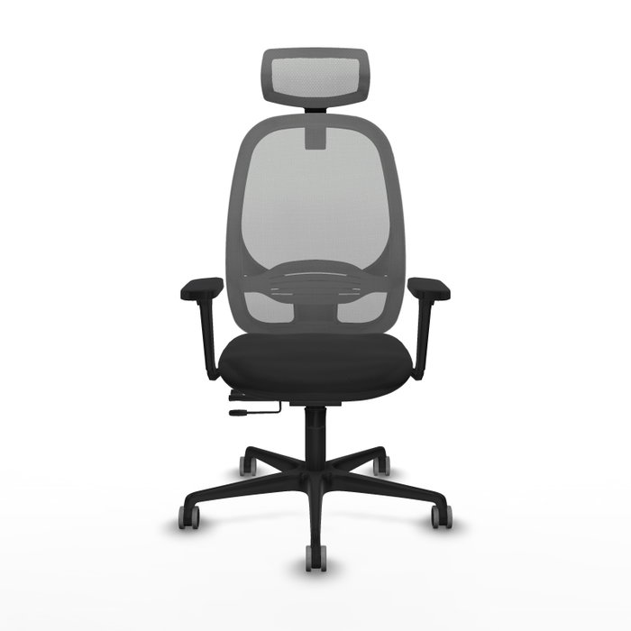 PIQUERAS Y CRESPO Silla de oficina Cilanco con mecanismo Sincro/Traslack, Negro y Gris PIQUERAS Y CRESPO Silla de oficina Cilanco con mecanismo Sincro/Traslack, Negro y Gris