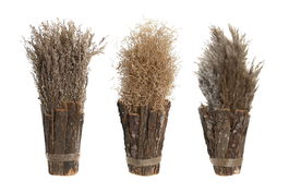 DKD Home Decor Planta Alpino Marron Natural 18 x 40 x 18 cm (12 Unidades)