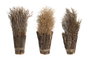 DKD Home Decor Ramo de Flores Secas Surtido de 3 Modelos