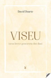 Viseu: uma breve geometria dos dias, A.A. Duarte, David - EDIÇOES ESGOTADAS