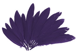 Innspiro Plumas Indio Lila de 25mm x 140mm, 60 unidades