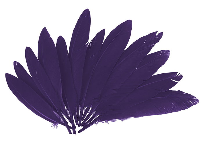 Innspiro Plumas Indio Lila de 25mm x 140mm, 60 unidades Innspiro Plumas Indio Lila de 25mm x 140mm, 60 unidades