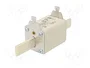 ETI POLAM Fusible NH2C de cartucho cerámica industrial 32A 500VAC