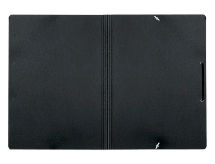 Leitz Carpeta Recycle Gomas DIN A4 Cartón Reciclable 100% Negro