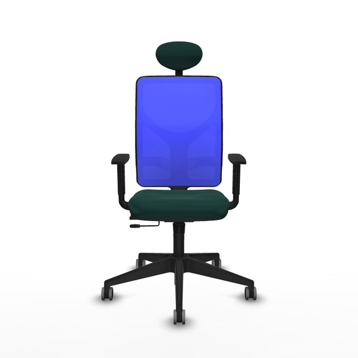 PIQUERAS Y CRESPO Silla de oficina Motilla con mecanismo Sincro/Traslack Verde botella y Azul PIQUERAS Y CRESPO Silla de oficina Motilla con mecanismo Sincro/Traslack Verde botella y Azul