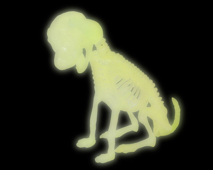 Perro Decoración Halloween Esqueleto Plástico Brillo Oscuridad