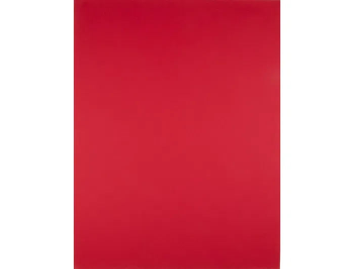 Liderpapel Cartulina 50x65 cm 180g/m2 Rojo Navidad para Dibujo y Manualidades