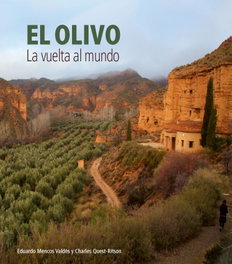 El olivo. Eduardo Mencos - EL VISO