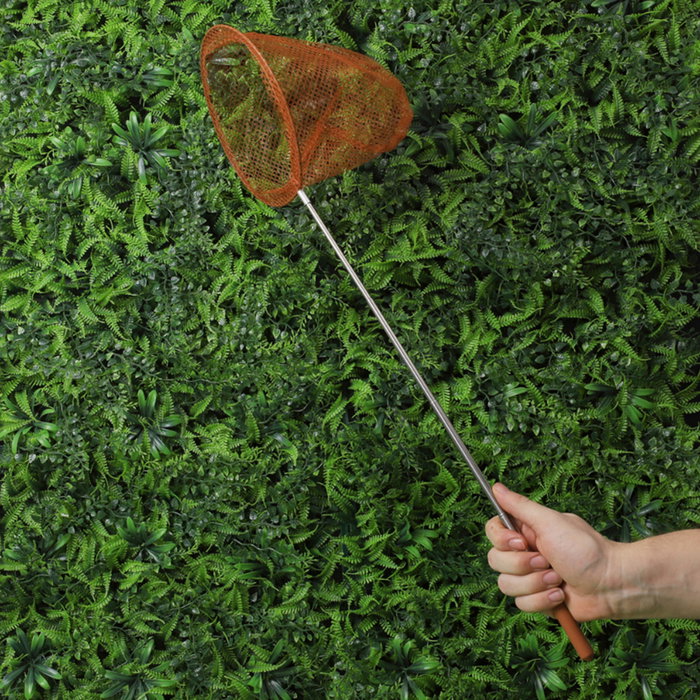 Jeux 2 momes Cazamariposas Telescópico Petits Explora Hasta 70cm, Para Niños Mayores de 3 Años Jeux 2 momes Cazamariposas Telescópico Petits Explora Hasta 70cm, Para Niños Mayores de 3 Años