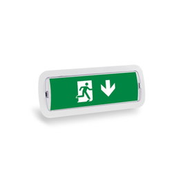 Pictograma para Emergencia Flecha Abajo