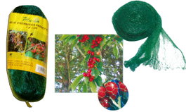 PLUVIA Malla Antipájaros 18x18 Verde 2,00 m x 5 m