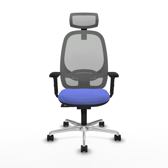 PIQUERAS Y CRESPO Silla de oficina Cilanco con mecanismo Sincro, Azul claro y Gris PIQUERAS Y CRESPO Silla de oficina Cilanco con mecanismo Sincro, Azul claro y Gris