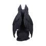 Nemesis Now Cult Cuties Figura Griffael 30 cm