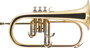 Fliscorno J. Michael En Sib Fg500