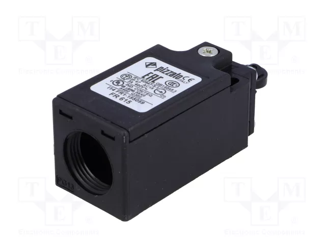 PIZZATO ELETTRICA FR 615 Interruptor de fin de carrera con roldana de polímero Ø11mm PIZZATO ELETTRICA FR 615 Interruptor de fin de carrera con roldana de polímero Ø11mm