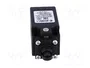 PIZZATO ELETTRICA FR 615 Interruptor de fin de carrera con roldana de polímero Ø11mm