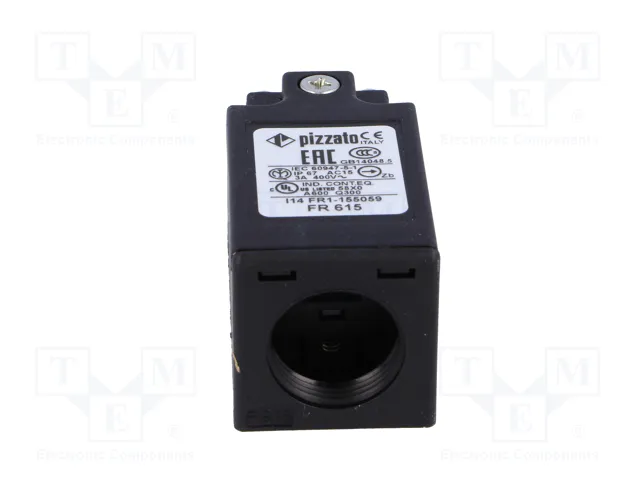 PIZZATO ELETTRICA FR 615 Interruptor de fin de carrera con roldana de polímero Ø11mm PIZZATO ELETTRICA FR 615 Interruptor de fin de carrera con roldana de polímero Ø11mm