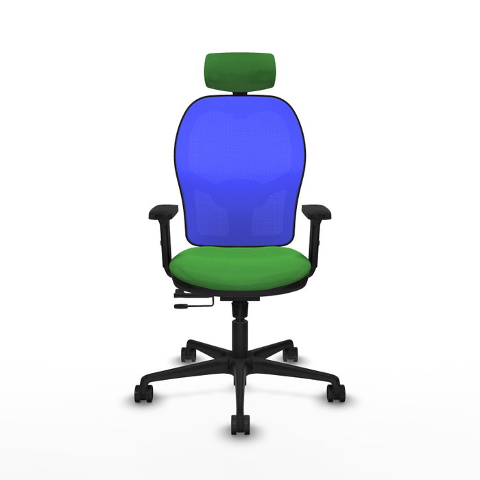 PIQUERAS Y CRESPO Silla de oficina Jorquera Verde y Azul con mecanismo Sincro/Traslack PIQUERAS Y CRESPO Silla de oficina Jorquera Verde y Azul con mecanismo Sincro/Traslack