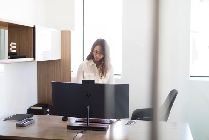 HP Ratón Inalámbrico Premium Cómodo Elegante Navegación Inalámbrica