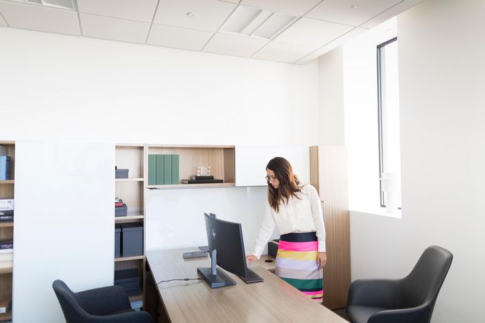 HP Ratón Inalámbrico Premium Cómodo Elegante Navegación Inalámbrica