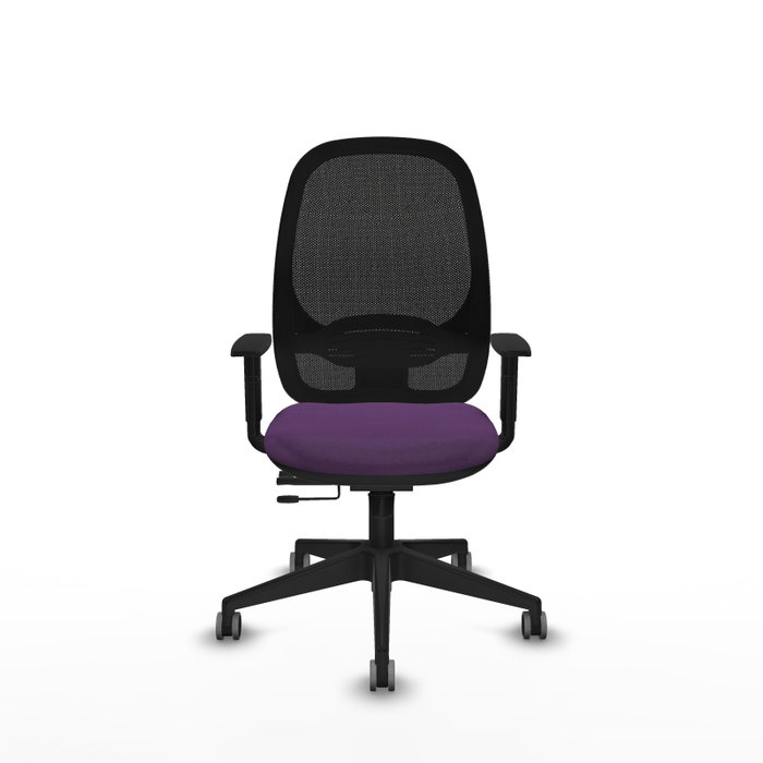 PIQUERAS Y CRESPO Silla de oficina Cilanco con mecanismo Sincro/Traslack, Morado y Negro PIQUERAS Y CRESPO Silla de oficina Cilanco con mecanismo Sincro/Traslack, Morado y Negro