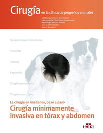 Cirugía en la clínica de pequeños animales. Cirugía mínimamente invasiva