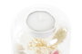 DKD Home Decor Portavelas de Cristal con Flor Seca (Surtido de 2 unidades)