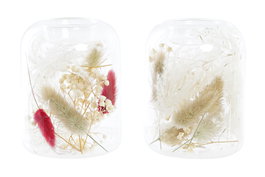 DKD Home Decor Portavelas de Cristal con Flor Seca (Surtido de 2 unidades)