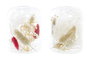 DKD Home Decor Portavelas de Cristal con Flor Seca (Surtido de 2 unidades)