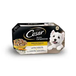 Cesar Multipack Receta Campesina 6x4x150 g - Comida Húmeda para Perros