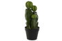 DKD Home Decor Planta Decorativa Cactus Verde