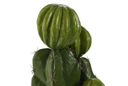 DKD Home Decor Planta Tropical Verde 18 x 47 x 19 cm (2 Unidades)