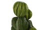 DKD Home Decor Planta Tropical Verde 18 x 47 x 19 cm (2 Unidades)