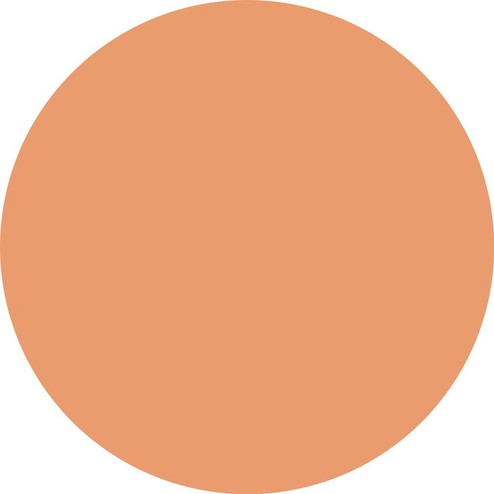 Catrice Soft Blur Matte Airbrush - Polvos matificantes efecto aire - Acabado mate y suave - Referencia #040W - 10 gr