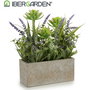 Ibergarden Maceta Rectangular Cemento Surtido 17x23x7 cm Plástico Corcho (Set de 8)