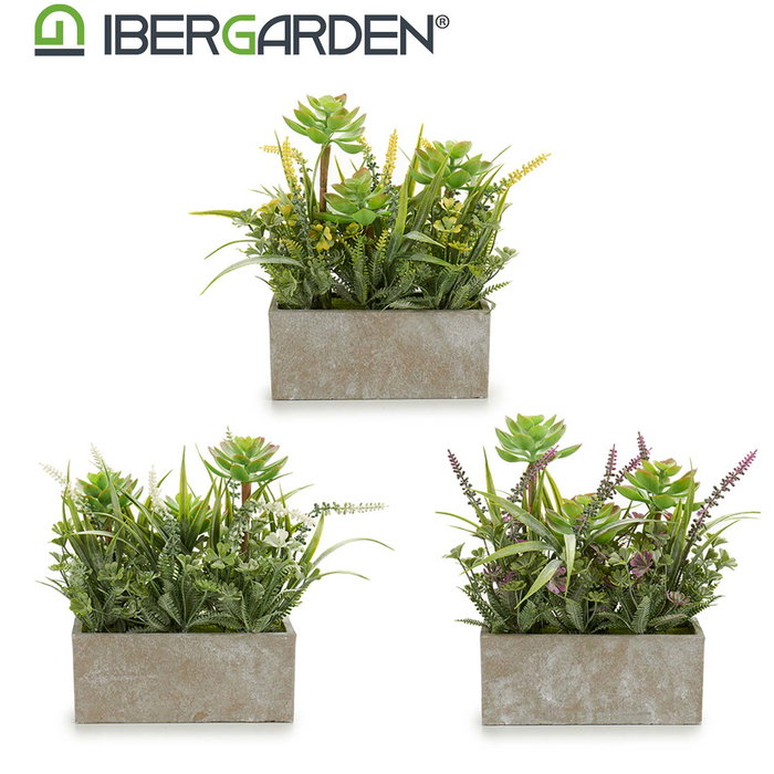 Ibergarden Maceta Rectangular Cemento Surtido 17x23x7 cm Plástico Corcho (Set de 8)