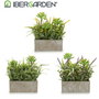 Ibergarden Maceta Rectangular Cemento Surtido 17x23x7 cm Plástico Corcho (Set de 8)