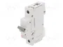 ETI POLAM Interruptor magnetotérmico ETIMAT P10 1P C10 10A 10kA