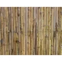 Naturaleza - Valla de Cañas Naturales Partidas de Primera Calidad - 6052050 - 3 m x 1 m - Cañas Naturales