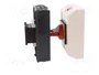 SCHNEIDER ELECTRIC Seccionador principal de seguridad TeSys VARIO 3 polos 16A IP65