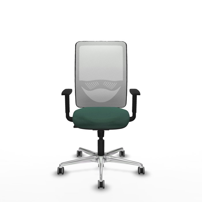 PIQUERAS Y CRESPO Silla de oficina Zulema con mecanismo Sincro Verde botella y Blanco PIQUERAS Y CRESPO Silla de oficina Zulema con mecanismo Sincro Verde botella y Blanco