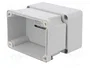 ELEKTRO-PLAST NASIELSK Carcasa Universal Industrial IP65 Gris