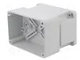 ELEKTRO-PLAST NASIELSK Carcasa Universal Industrial IP65 Gris