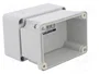 ELEKTRO-PLAST NASIELSK Carcasa Universal Industrial IP65 Gris