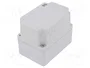 ELEKTRO-PLAST NASIELSK Carcasa Universal Industrial IP65 Gris