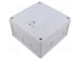 Günther Spelsberg Abox Pro 100-L Protección IP66/IP67/IP69