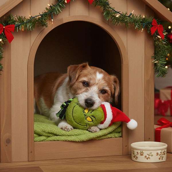 Cerdà Cuerda Dental para Perro Juguete The Grinch 43 x 13 x 7.5 cm Verde